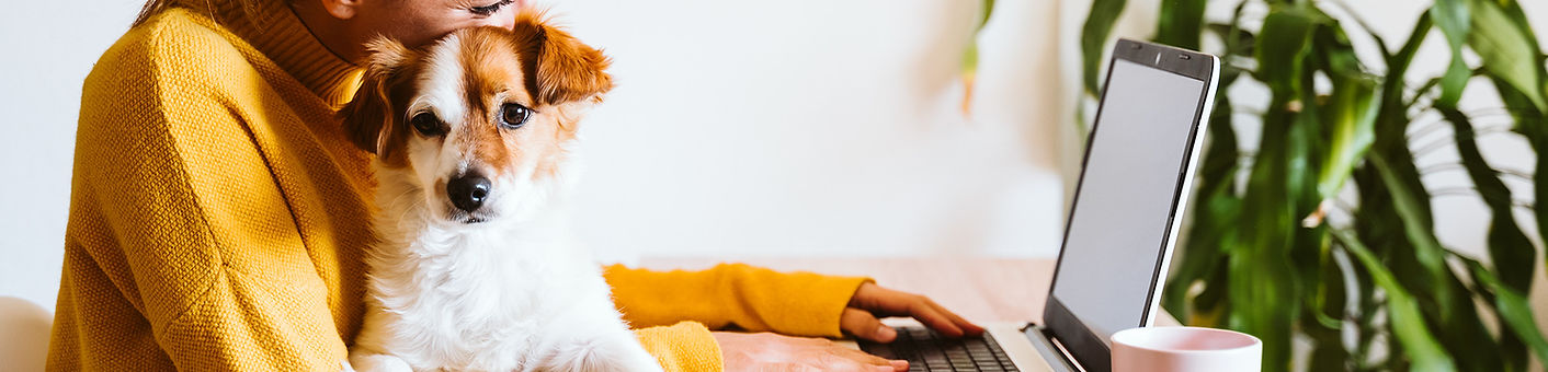 Woman with small dog working from home at her computer.