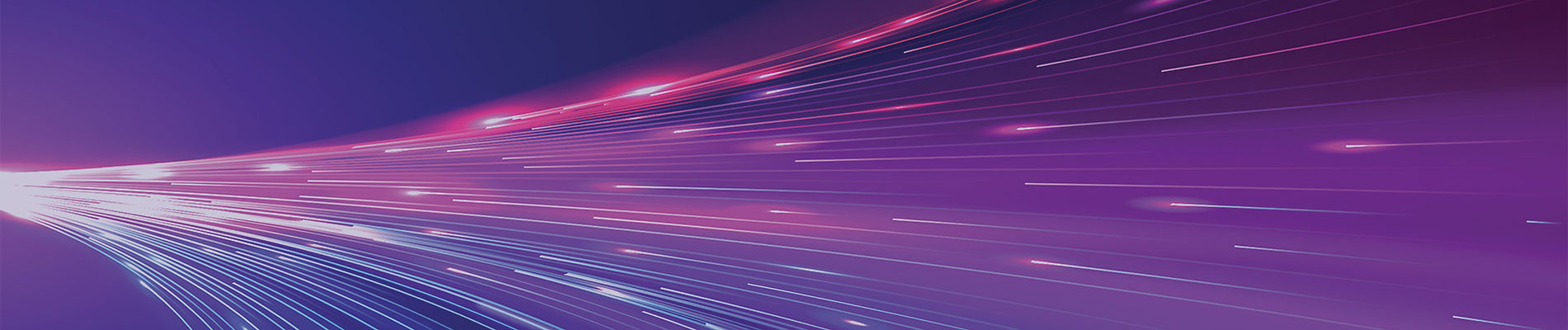 Abstract flowing lines in a purple hue.